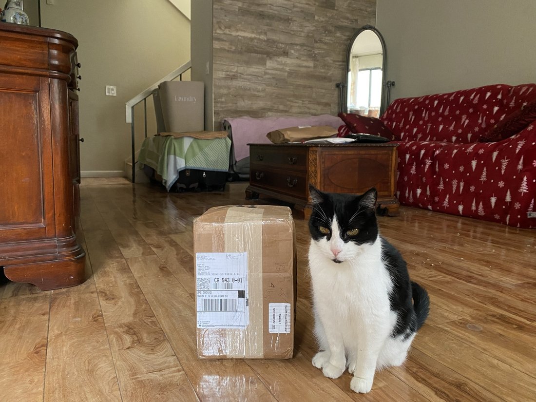 A tuxedo cat sitting beside a parcel