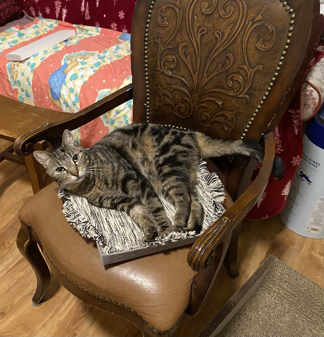A tabby cat asleep on a rocking chair